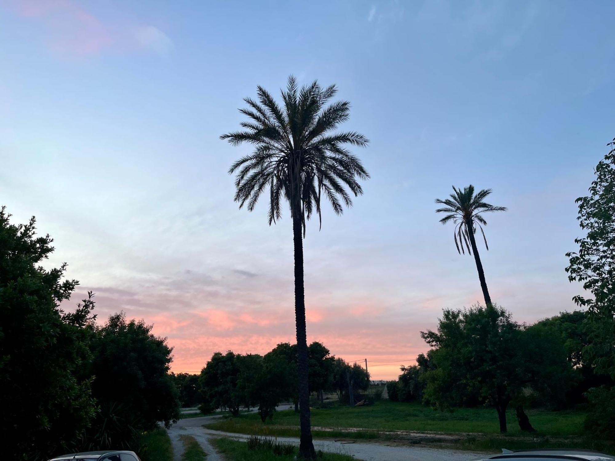 Bed & Breakfast Dimora Di Dante *