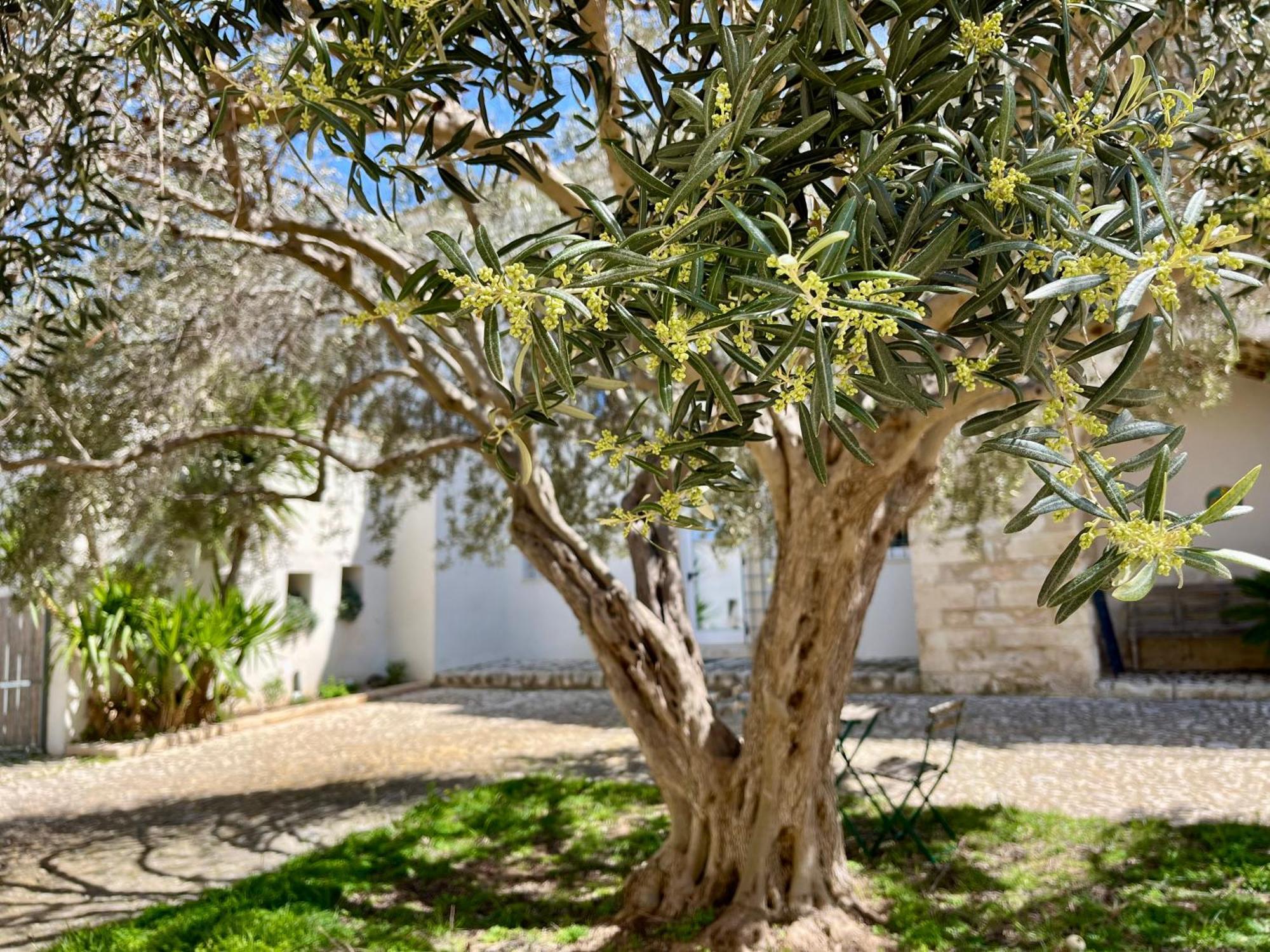 Dimora Di Dante Bed & Breakfast Chiaramonte Gulfi