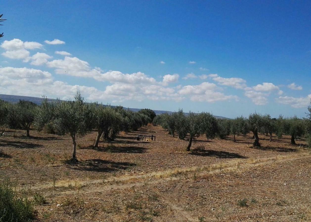 Dimora Di Dante Bed & Breakfast *